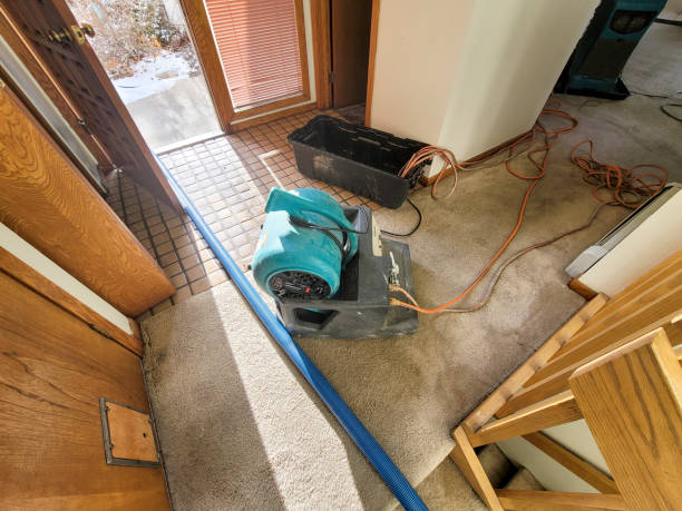 Best 24-hour water damage restoration  in Stockton, CA