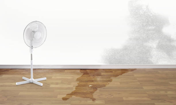 Best Basement water damage restoration  in Stockton, CA