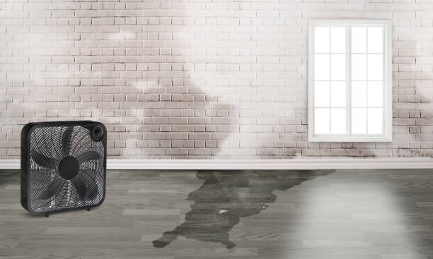 Best Fire Damage Restoration  in Stockton, CA