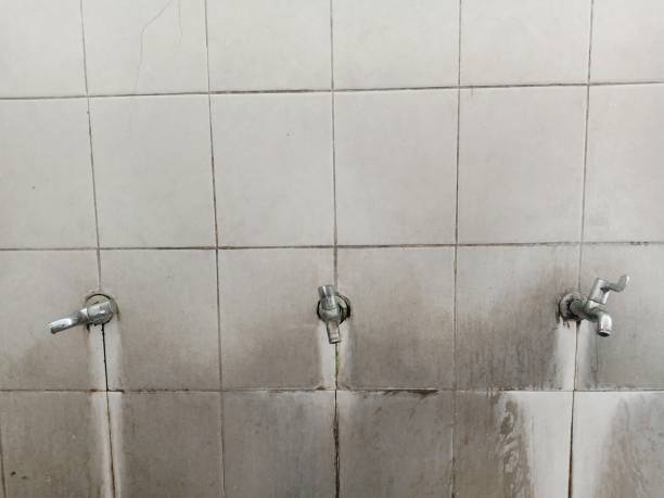 Best Flooded house restoration  in Stockton, CA