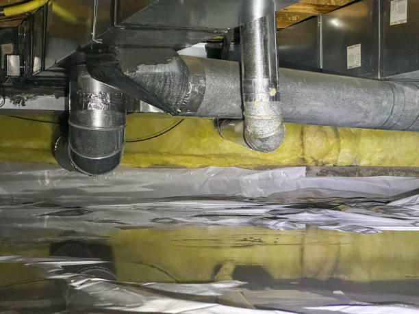 Best Professional water damage repair  in Stockton, CA