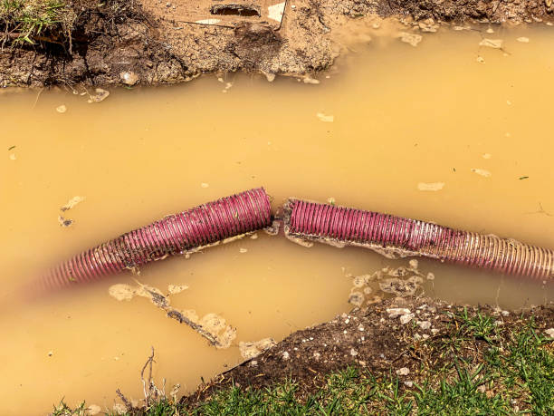 Best Mold removal after water damage  in Stockton, CA