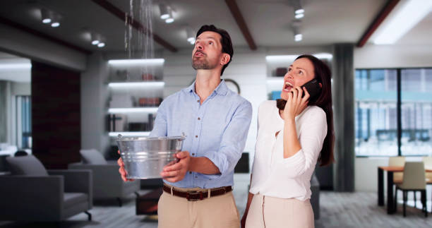 Best Mold removal after water damage  in Stockton, CA