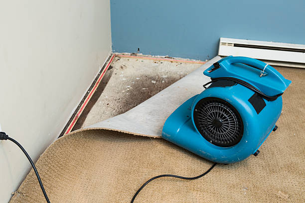 Best Water damage restoration near me  in Stockton, CA